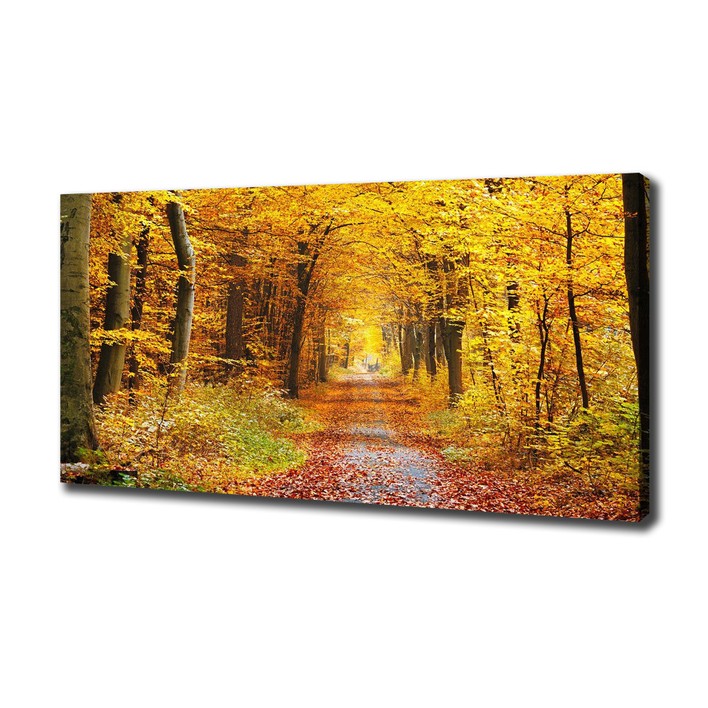 Canvas wall art Forest in autumn