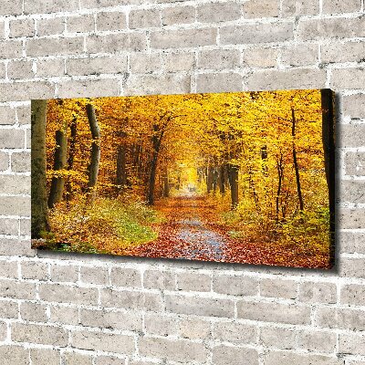 Canvas wall art Forest in autumn