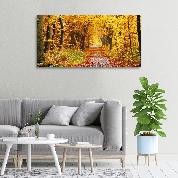 Canvas wall art Forest in autumn