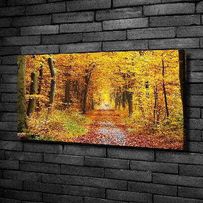 Canvas wall art Forest in autumn