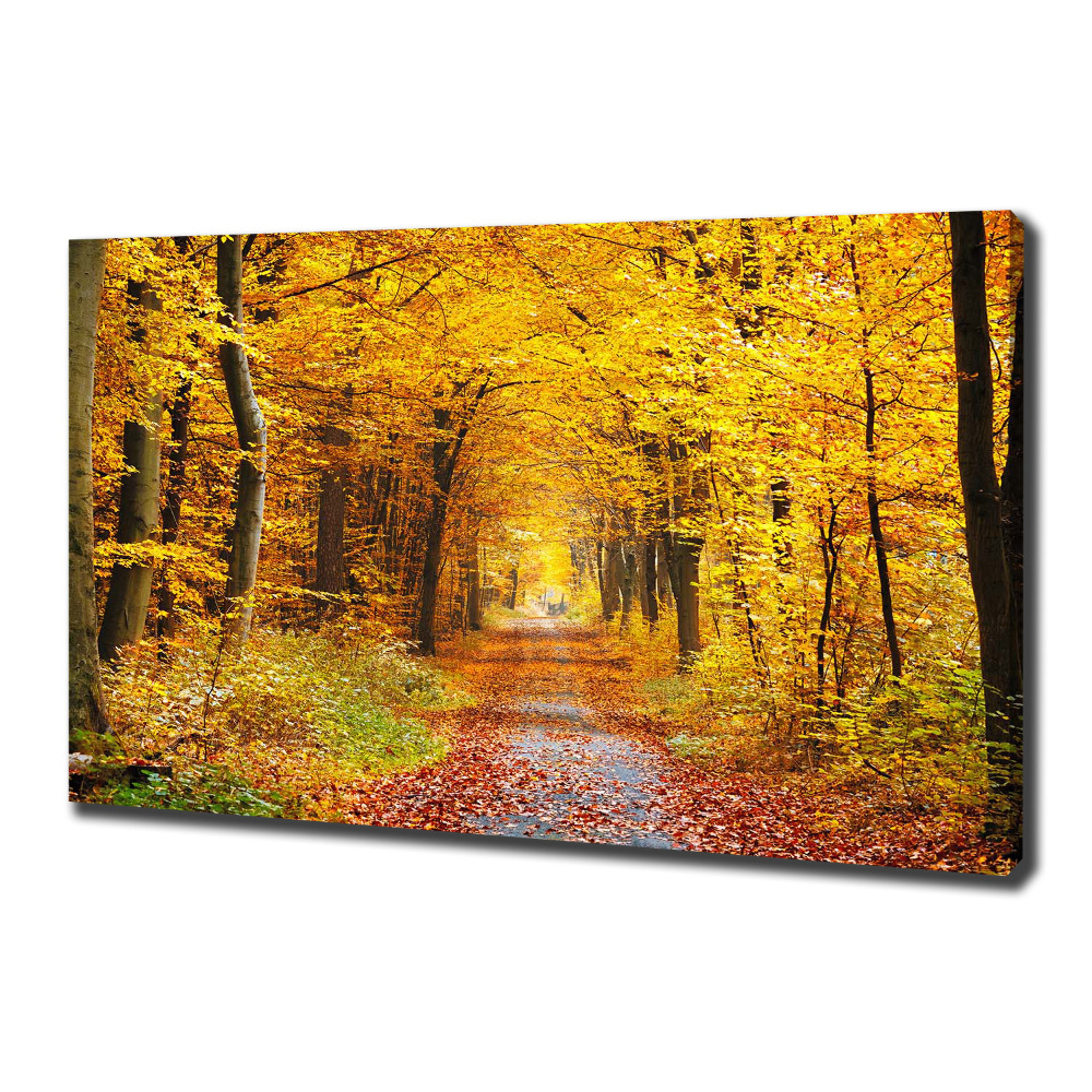 Canvas wall art Forest in autumn