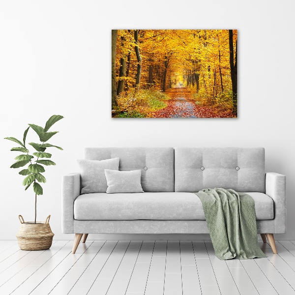 Canvas wall art Forest in autumn