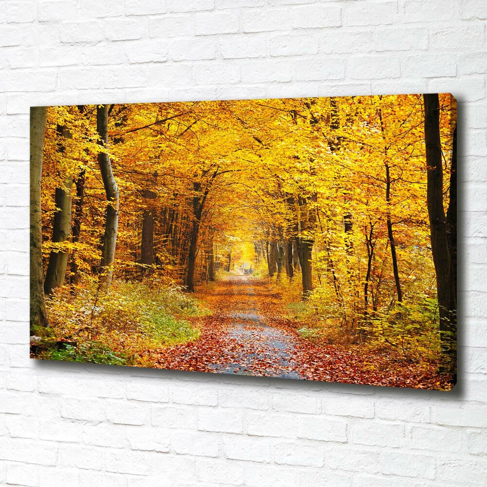 Canvas wall art Forest in autumn