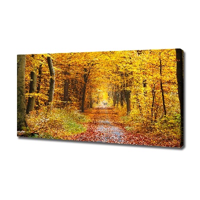 Canvas wall art Forest in autumn