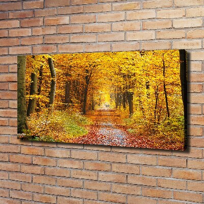 Canvas wall art Forest in autumn