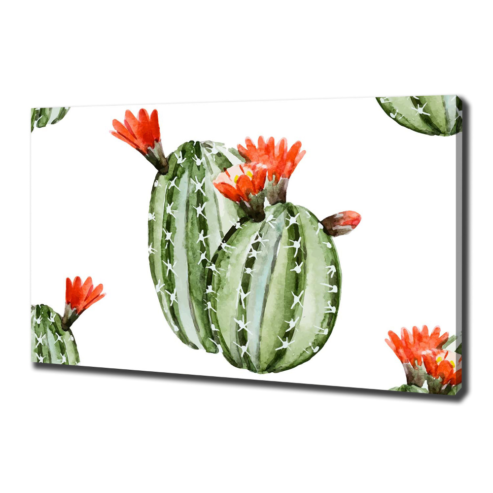 Canvas wall art Cacti