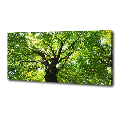 Canvas wall art Green Forest