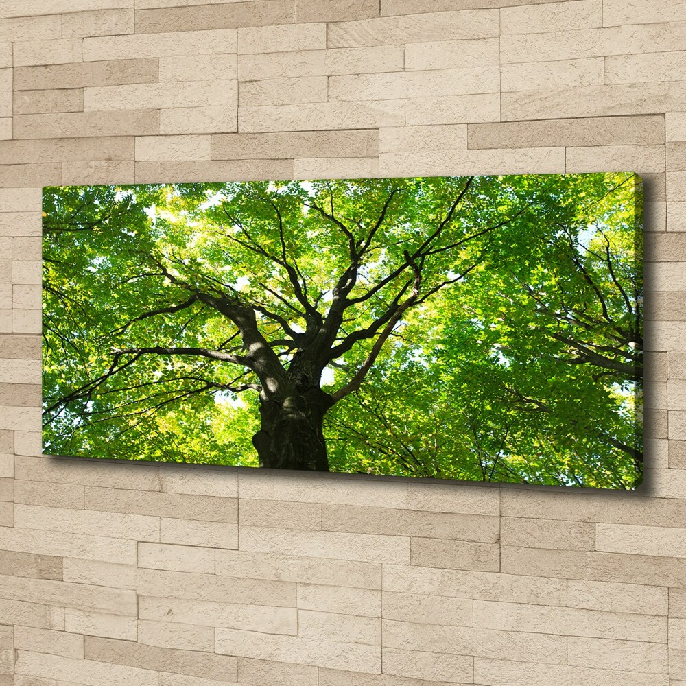 Canvas wall art Green Forest