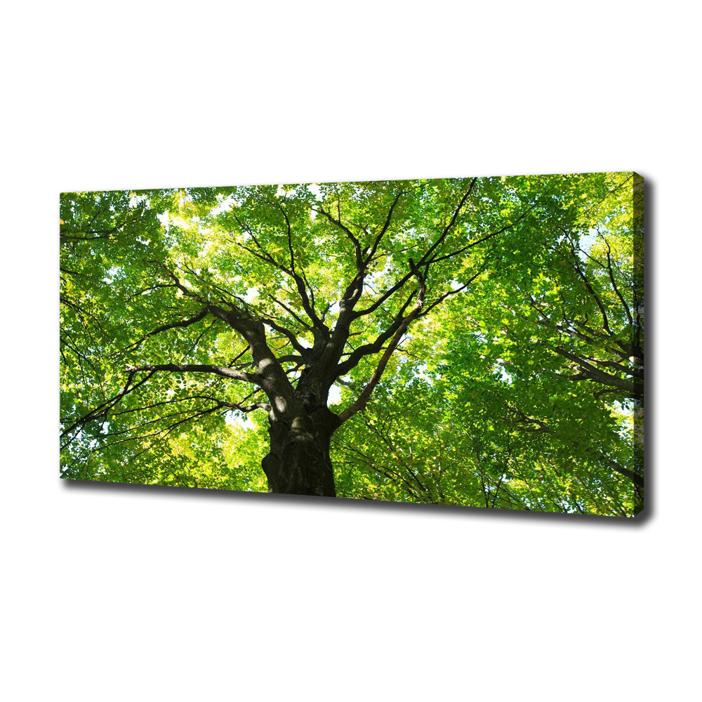 Canvas wall art Green Forest