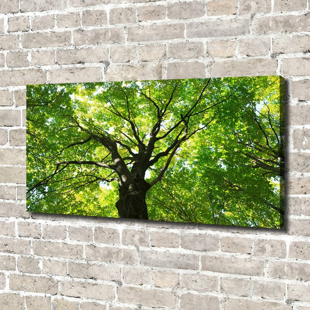 Canvas wall art Green Forest