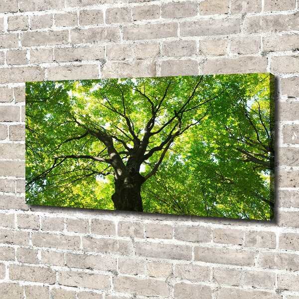 Canvas wall art Green Forest