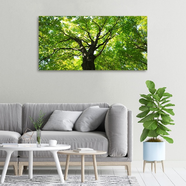 Canvas wall art Green Forest