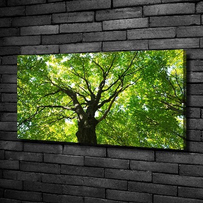 Canvas wall art Green Forest