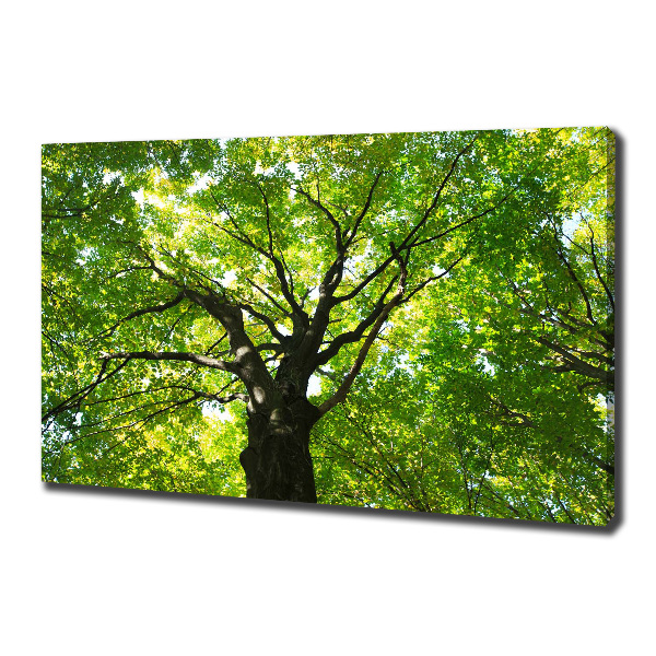 Canvas wall art Green Forest