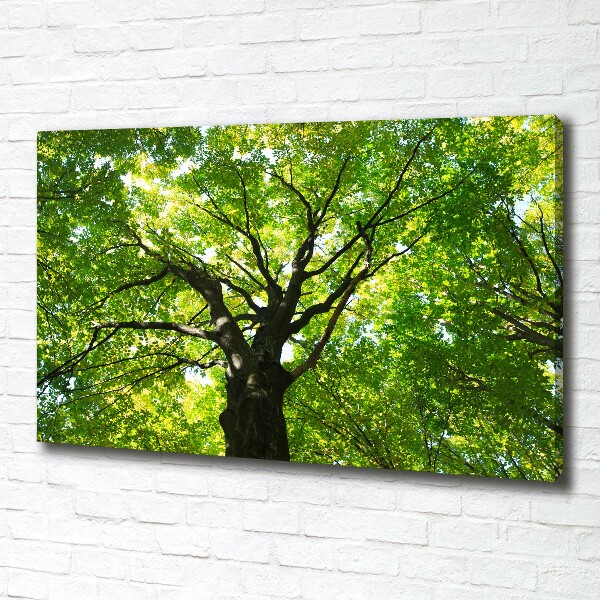 Canvas wall art Green Forest