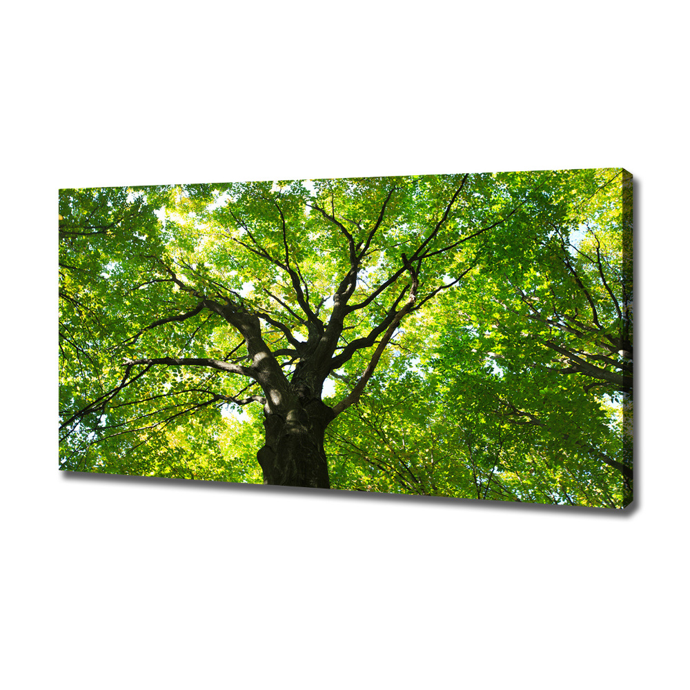 Canvas wall art Green Forest