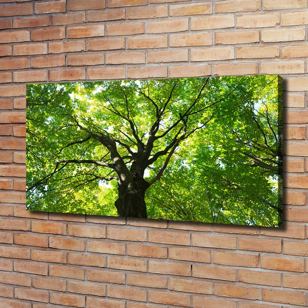 Canvas wall art Green Forest