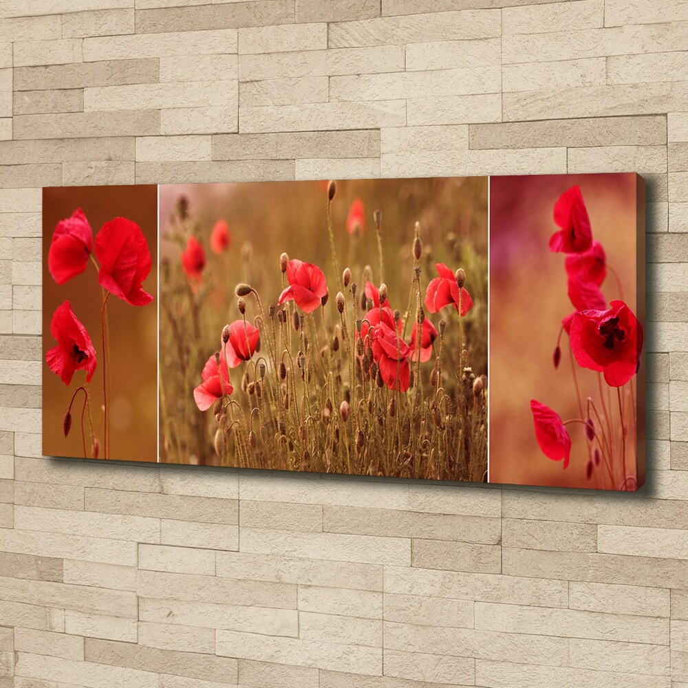 Canvas wall art Triptych Maki