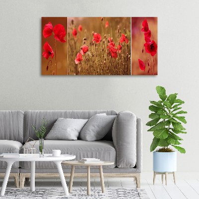 Canvas wall art Triptych Maki