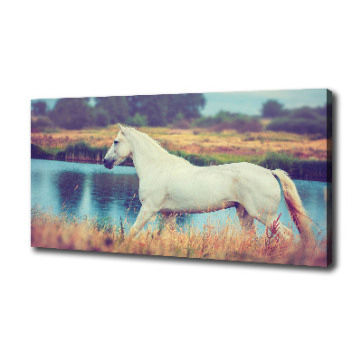 Canvas wall art White horse lake