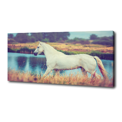 Canvas wall art White horse lake