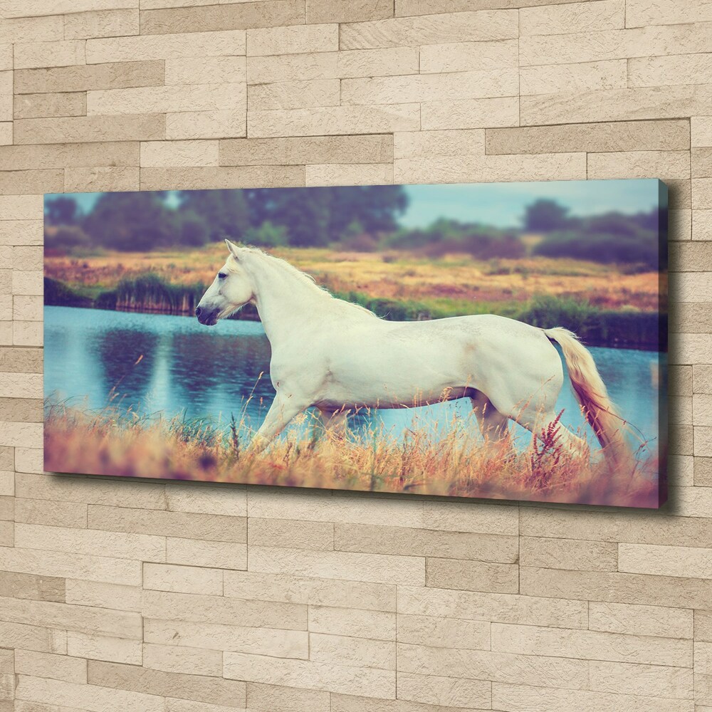 Canvas wall art White horse lake