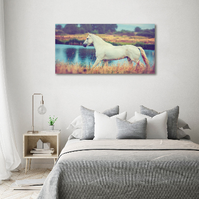 Canvas wall art White horse lake