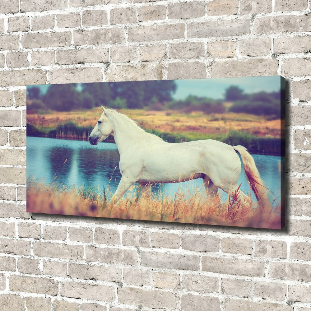 Canvas wall art White horse lake