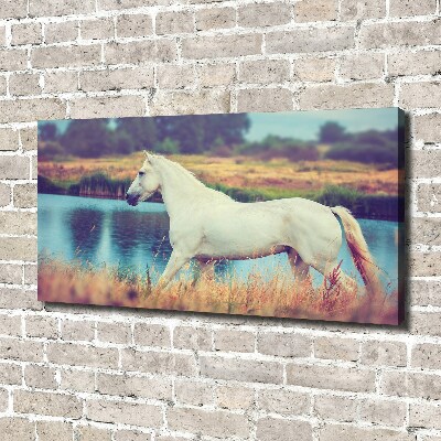 Canvas wall art White horse lake