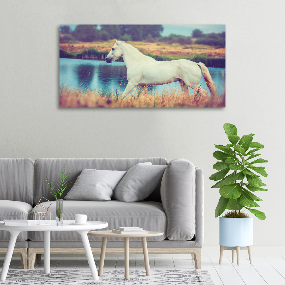 Canvas wall art White horse lake