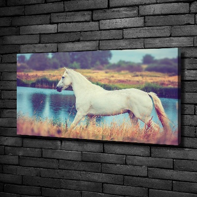 Canvas wall art White horse lake