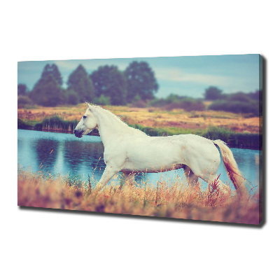 Canvas wall art White horse lake