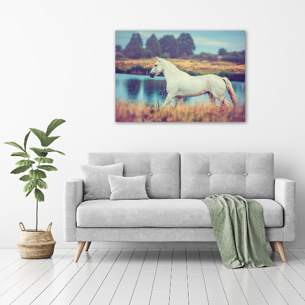 Canvas wall art White horse lake