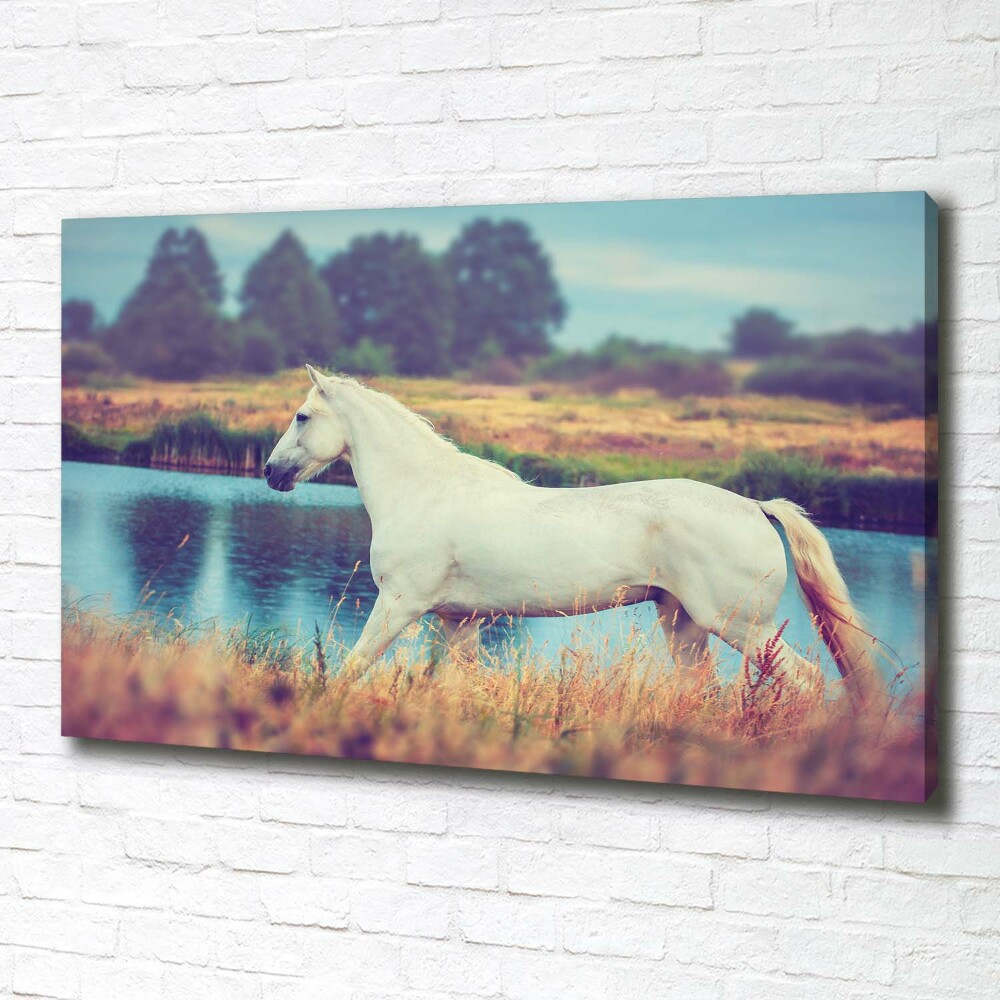 Canvas wall art White horse lake