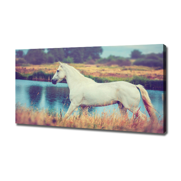 Canvas wall art White horse lake