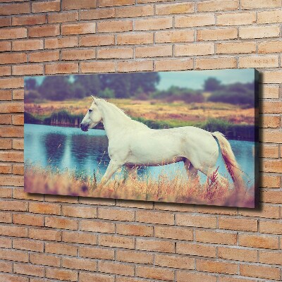 Canvas wall art White horse lake