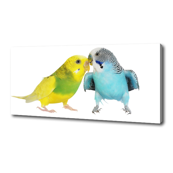 Canvas wall art Faded parakeets