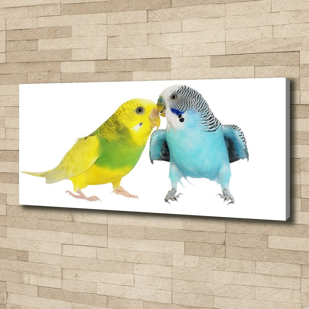 Canvas wall art Faded parakeets