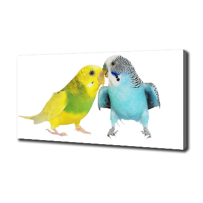 Canvas wall art Faded parakeets