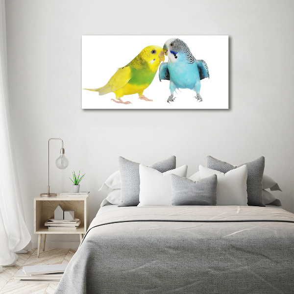 Canvas wall art Faded parakeets