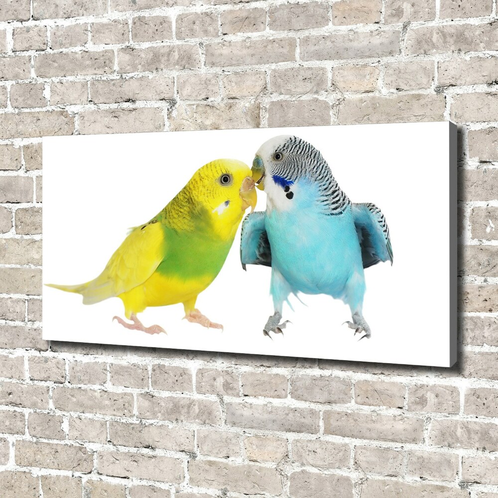 Canvas wall art Faded parakeets