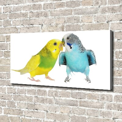 Canvas wall art Faded parakeets