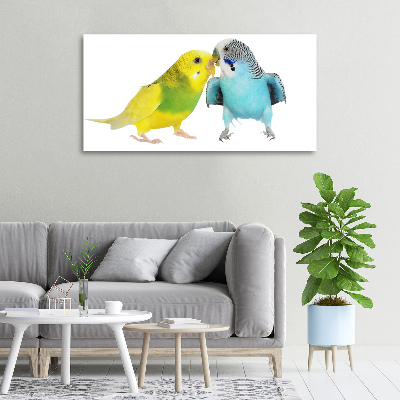 Canvas wall art Faded parakeets