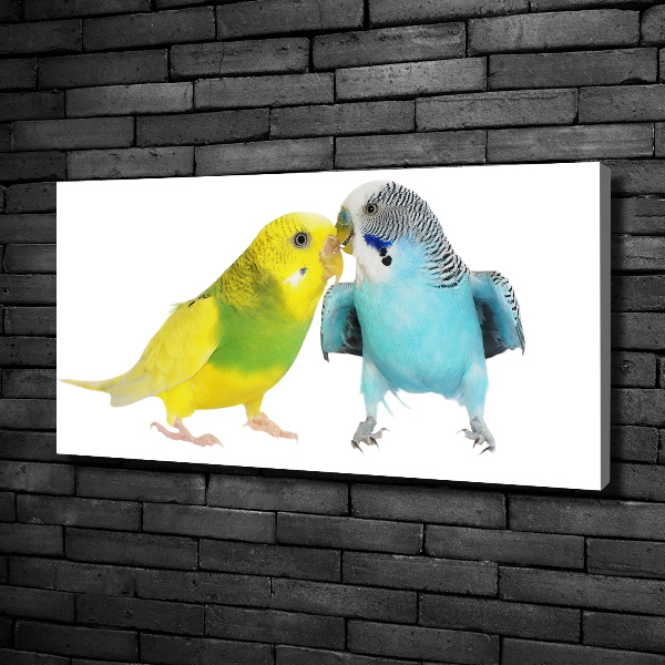 Canvas wall art Faded parakeets