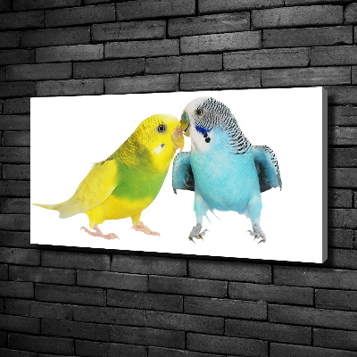 Canvas wall art Faded parakeets