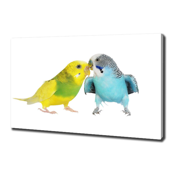 Canvas wall art Faded parakeets