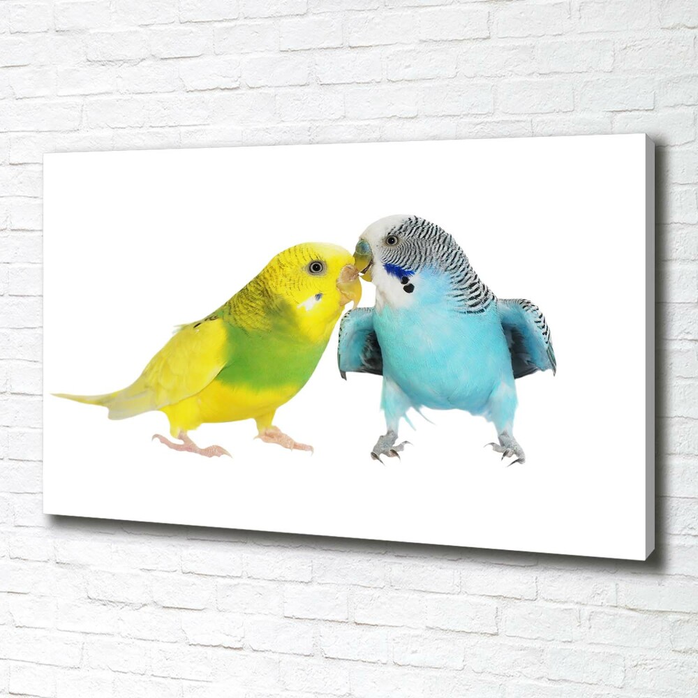 Canvas wall art Faded parakeets