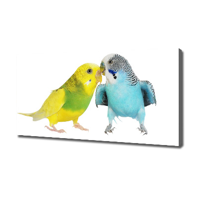 Canvas wall art Faded parakeets