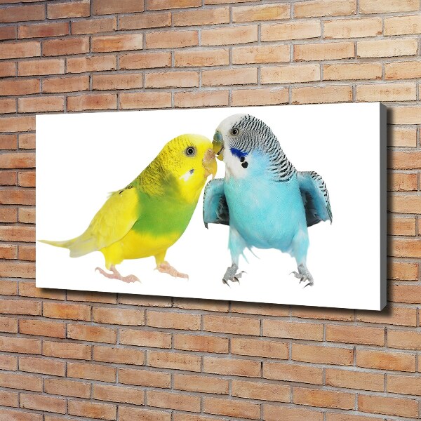 Canvas wall art Faded parakeets