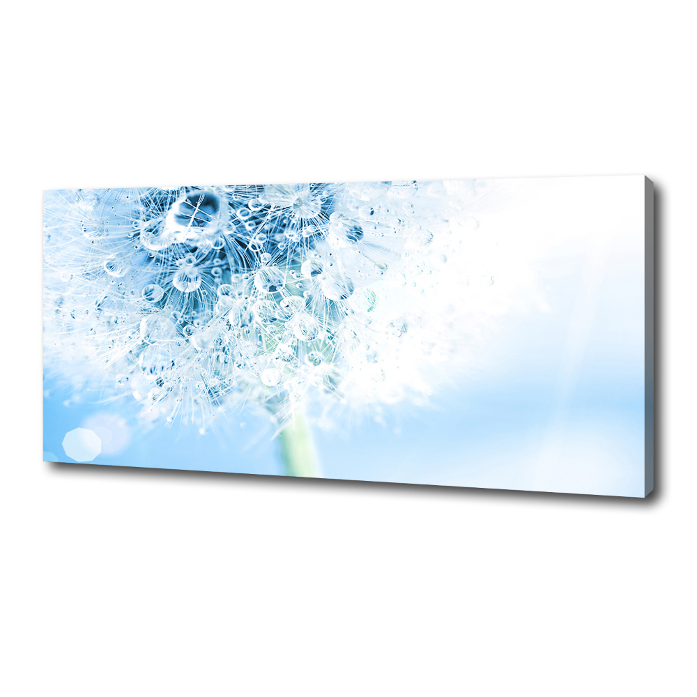 Canvas wall art Dandelion